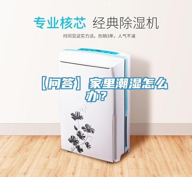 【問答】家裏潮濕怎麽辦？