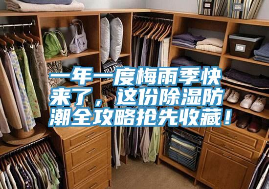 一年一度梅雨季快來了，這份除濕防潮全攻略搶先收藏！