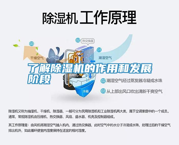 了解小黄片软件免费下载的作用和發展階段