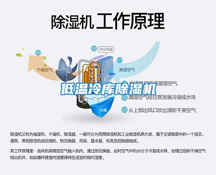 低溫冷庫小黄片软件免费下载