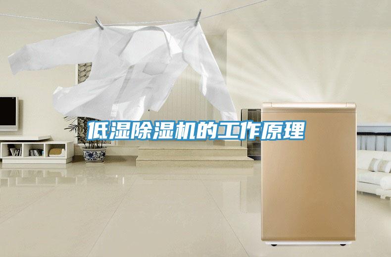 低濕小黄片软件免费下载的工作原理