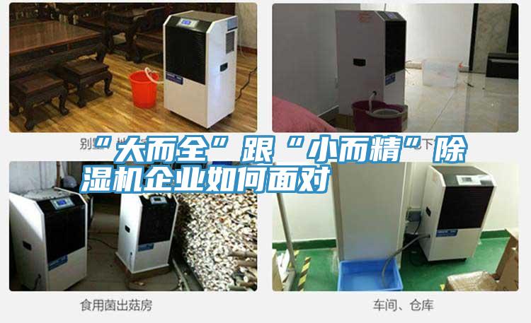 “大而全”跟“小而精”小黄片软件免费下载企業如何麵對