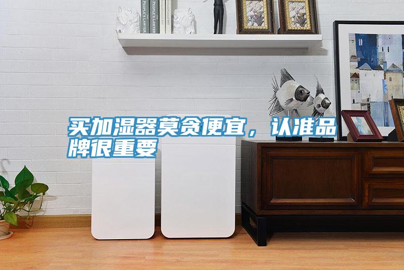 買加濕器莫貪便宜，認準品牌很重要