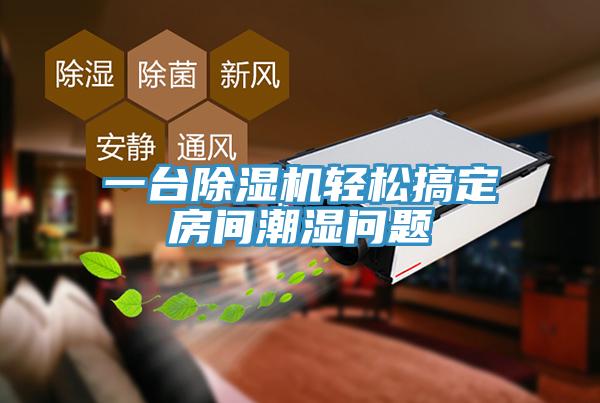 一台小黄片软件免费下载輕鬆搞定房間潮濕問題