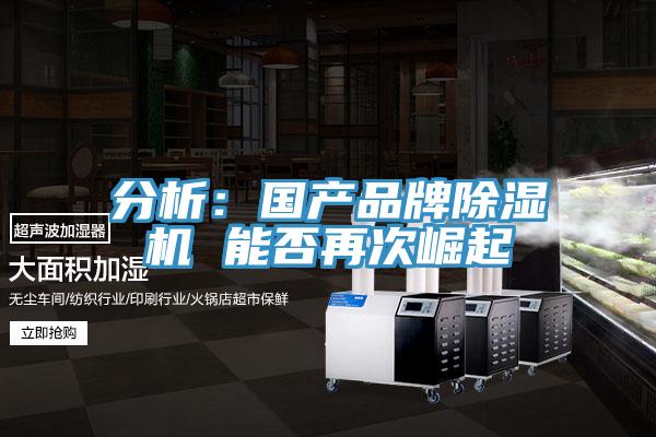 分析：國產品牌小黄片软件免费下载 能否再次崛起