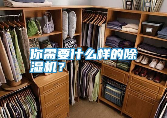 你需要什麽樣的小黄片软件免费下载？