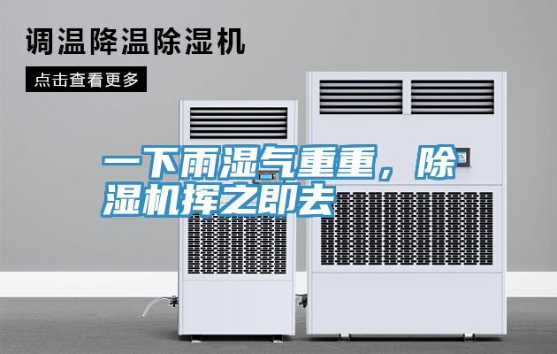一下雨濕氣重重，小黄片软件免费下载揮之即去