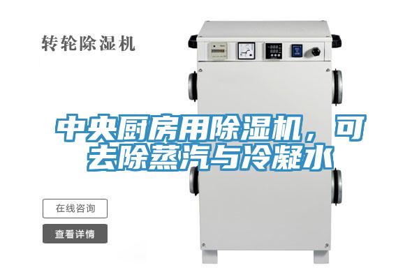 中央廚房用小黄片软件免费下载，可去除蒸汽與冷凝水