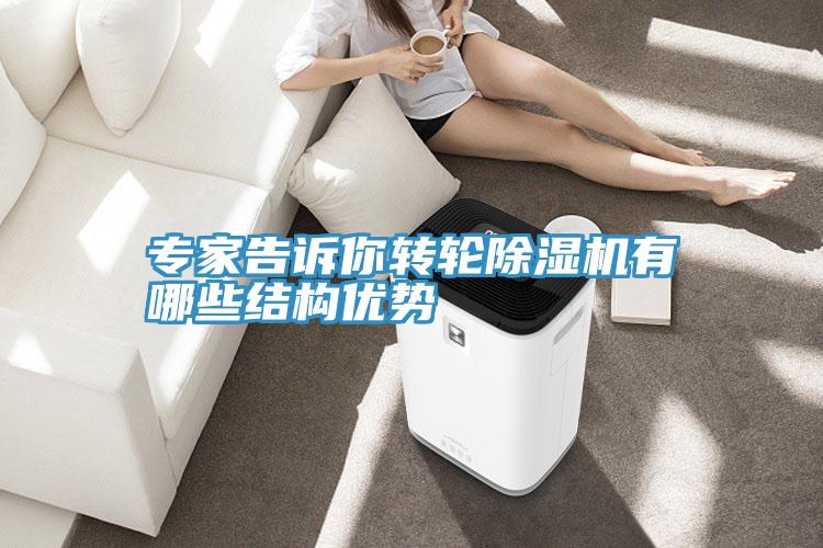 專家告訴你轉輪小黄片软件免费下载有哪些結構優勢