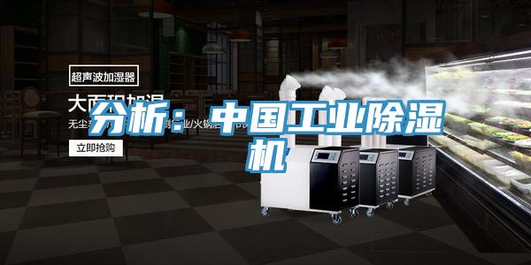 分析：中國工業小黄片软件免费下载