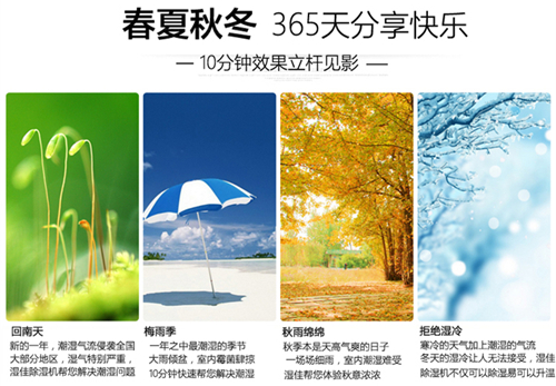 智能小黄片软件免费下载