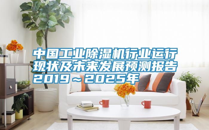 中國工業小黄片软件免费下载行業運行現狀及未來發展預測報告2019～2025年