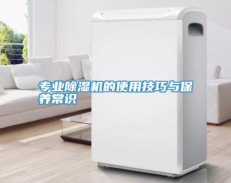 專業小黄片软件免费下载的使用技巧與保養常識