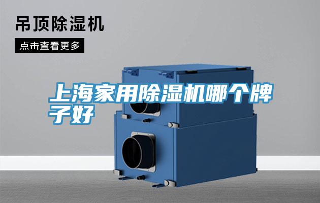 上海家用小黄片软件免费下载哪個牌子好