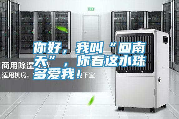 你好，我叫“回南天”，你看這水珠多愛我！