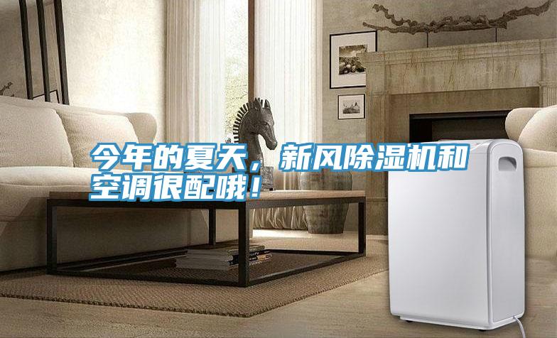 今年的夏天，新風小黄片软件免费下载和空調很配哦！