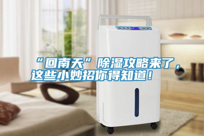 “回南天”除濕攻略來了，這些小妙招你得知道！