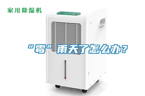 “黴”雨天了怎麽辦？