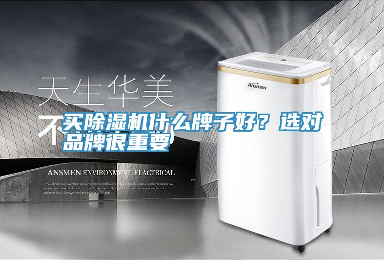 買小黄片软件免费下载什麽牌子好？選對品牌很重要