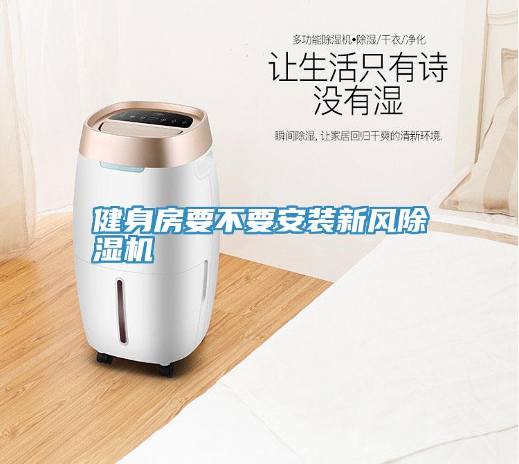 健身房要不要安裝新風小黄片软件免费下载