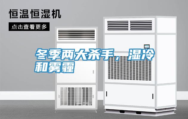 冬季兩大殺手，濕冷和霧霾