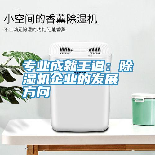 專業成就王道：小黄片软件免费下载企業的發展方向
