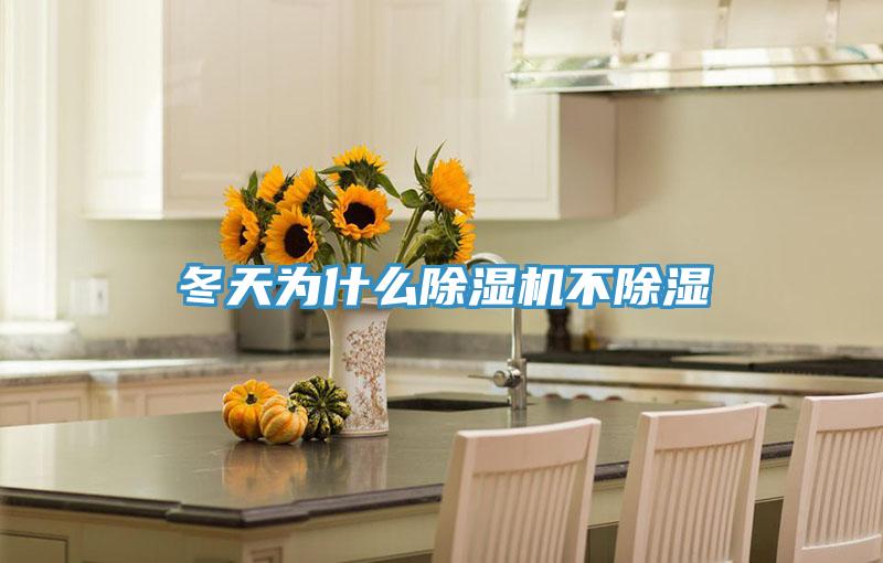 冬天為什麽小黄片软件免费下载不除濕