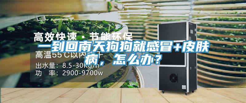 一到回南天狗狗就感冒+皮膚病，怎麽辦？