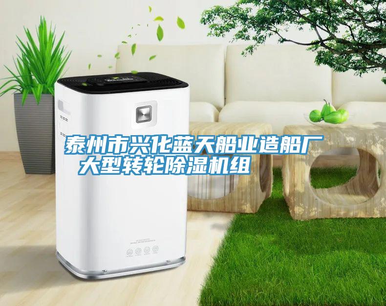 泰州市興化藍天船業造船廠 大型轉輪小黄片软件免费下载組