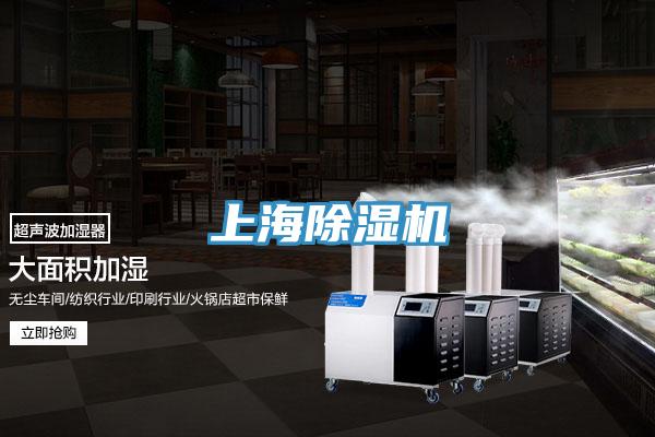 上海小黄片软件免费下载