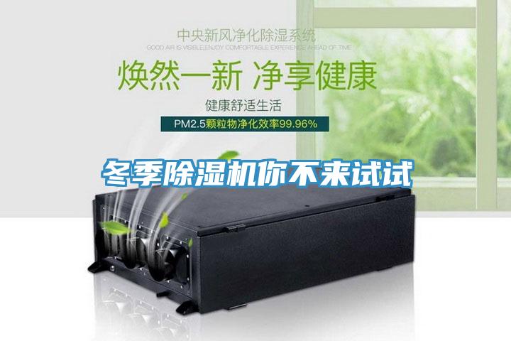 冬季小黄片软件免费下载你不來試試