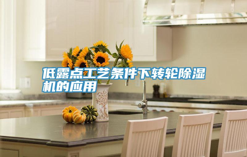低露點工藝條件下轉輪小黄片软件免费下载的應用
