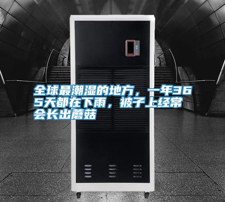 全球最潮濕的地方，一年365天都在下雨，被子上經常會長出蘑菇