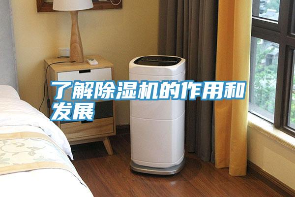 了解小黄片软件免费下载的作用和發展