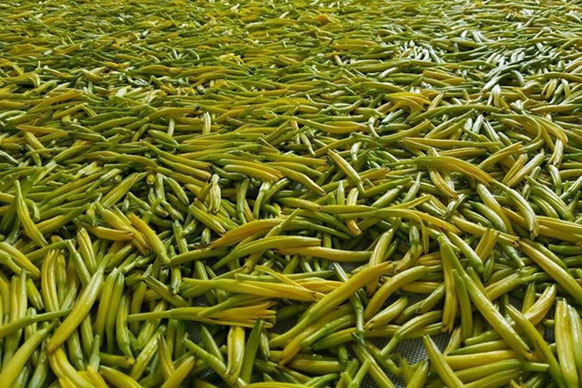 無硫金針菜烘幹如何保持品相？不發黑？_小黄片软件免费下载廠家