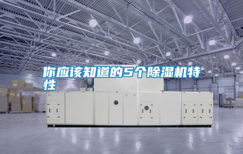 你應該知道的5個小黄片软件免费下载特性