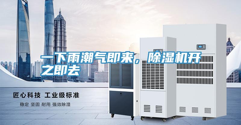 一下雨潮氣即來，小黄片软件免费下载開之即去