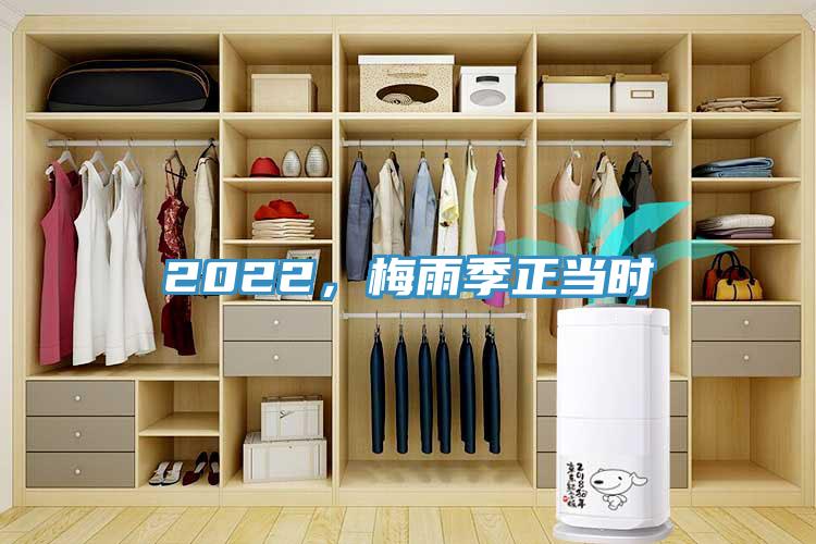2022，梅雨季正當時