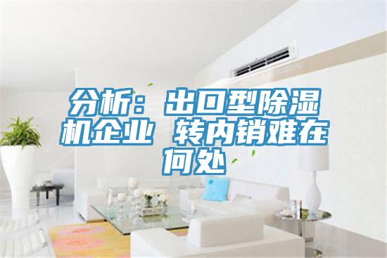 分析：出口型小黄片软件免费下载企業 轉內銷難在何處