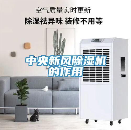 中央新風小黄片软件免费下载的作用