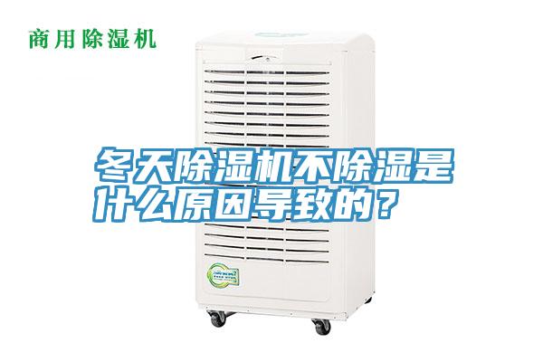 冬天小黄片软件免费下载不除濕是什麽原因導致的？