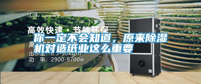 你一定不會知道，原來小黄片软件免费下载對造紙業這麽重要
