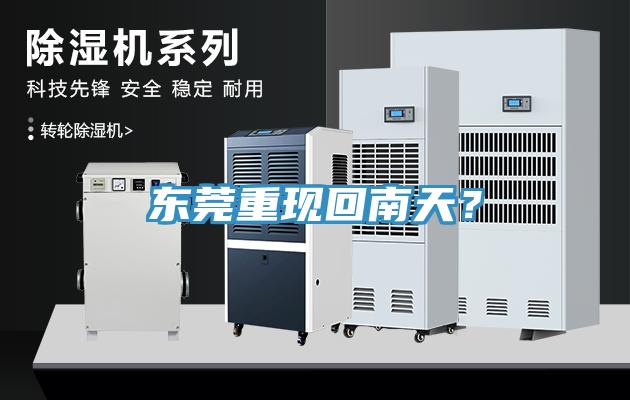 東莞重現回南天？