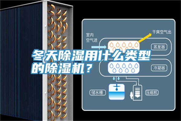 冬天除濕用什麽類型的小黄片软件免费下载？