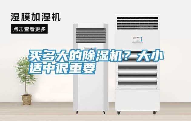 買多大的小黄片软件免费下载？大小適中很重要