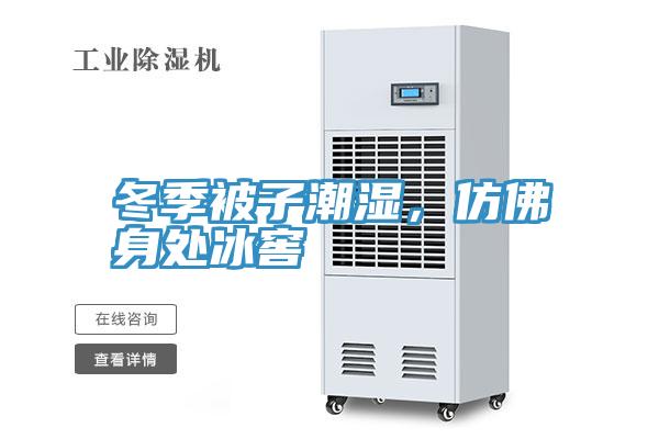 冬季被子潮濕，仿佛身處冰窖