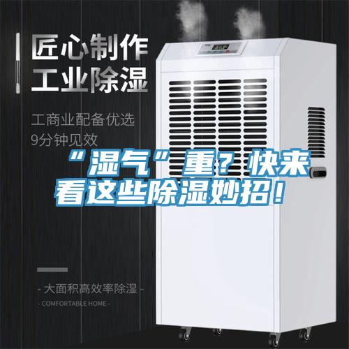 “濕氣”重？快來看這些除濕妙招！
