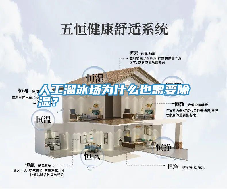 人工溜冰場為什麽也需要除濕？