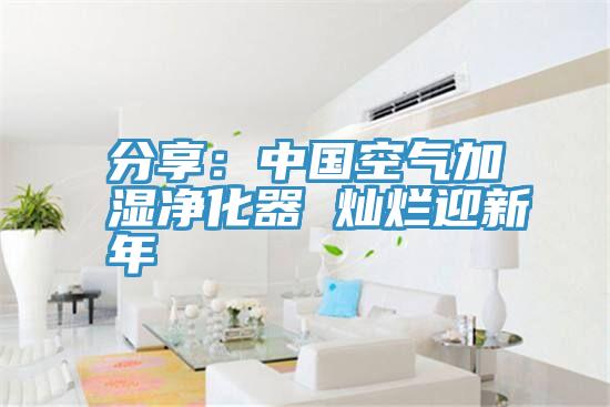 分享：中國空氣加濕淨化器 燦爛迎新年