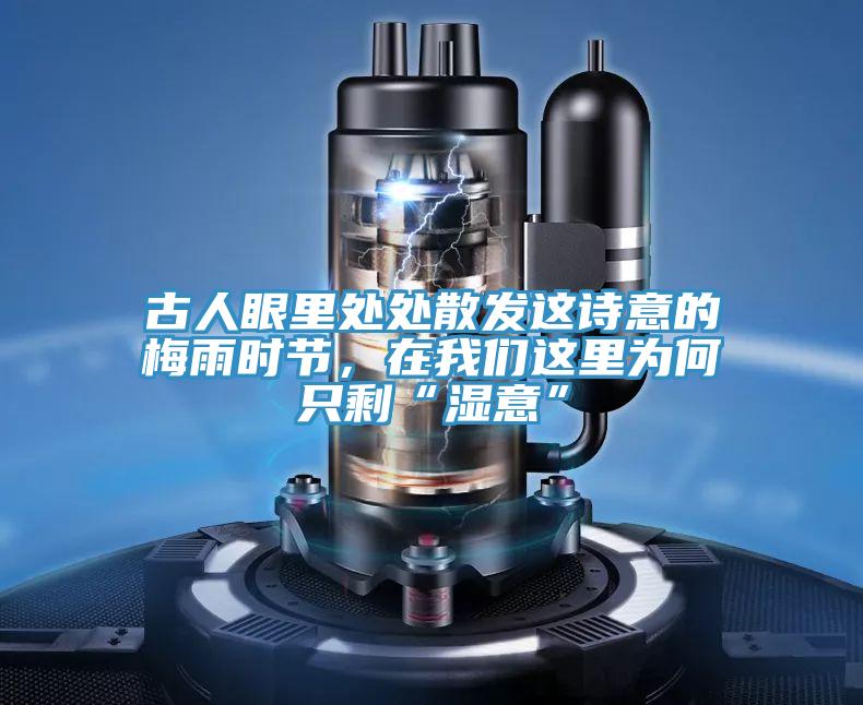 古人眼裏處處散發這詩意的梅雨時節，在小黄片怎么下载這裏為何隻剩“濕意”